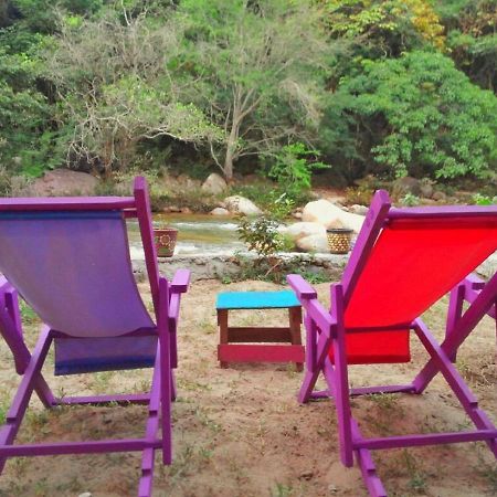 Casa Rio Cuale And River Retreat ปูแอร์โตบาญาร์ตา ภายนอก รูปภาพ