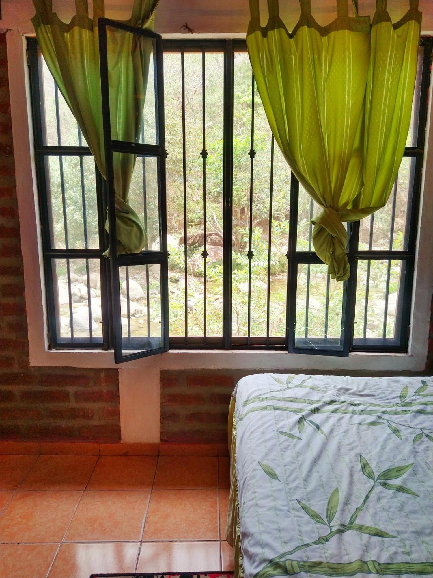 Casa Rio Cuale And River Retreat ปูแอร์โตบาญาร์ตา ห้อง รูปภาพ