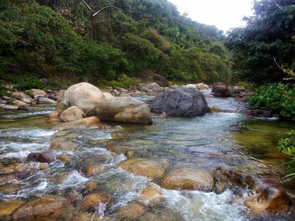 Casa Rio Cuale And River Retreat ปูแอร์โตบาญาร์ตา ภายนอก รูปภาพ