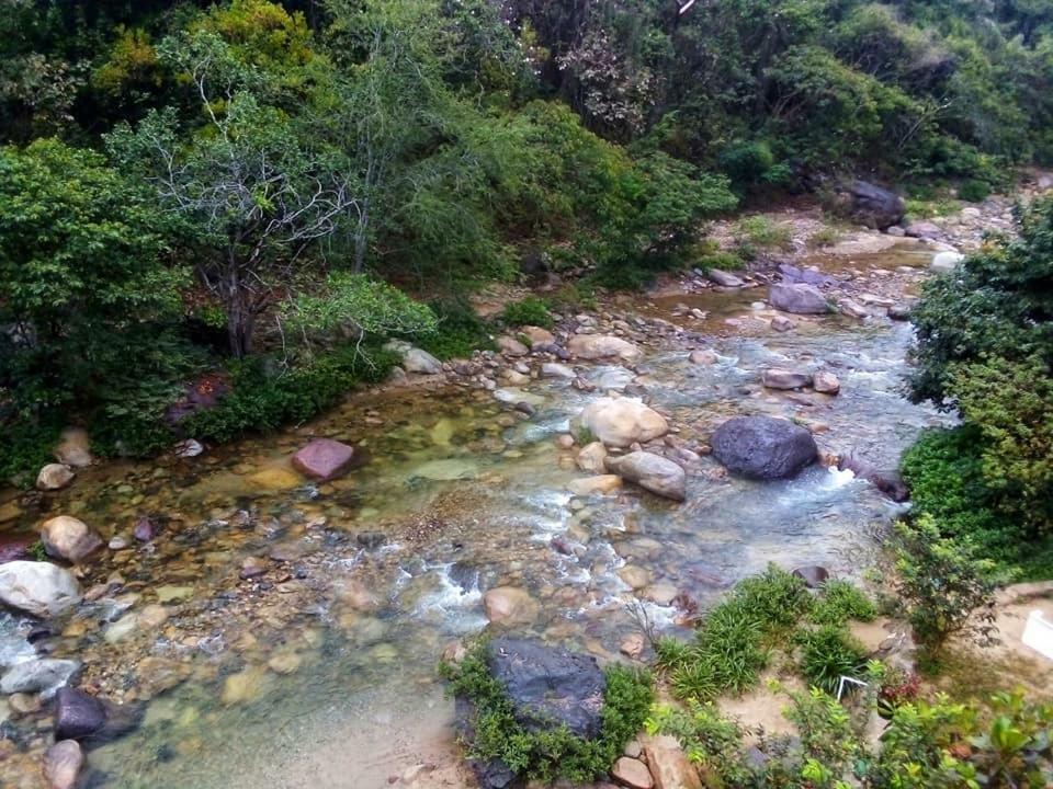 Casa Rio Cuale And River Retreat ปูแอร์โตบาญาร์ตา ภายนอก รูปภาพ